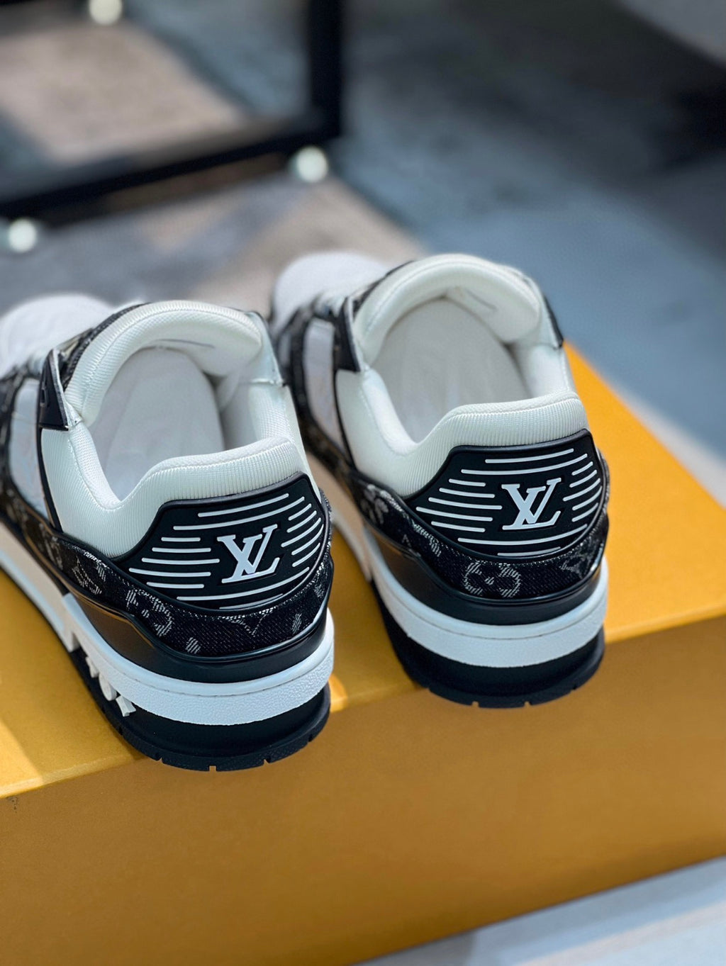 LV Trainer