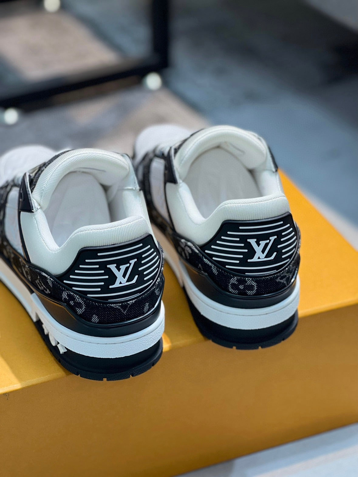 LV Trainer